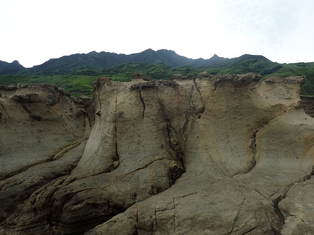 P6220997.JPG - 瑞芳  哩咾海岸  奇岩之美