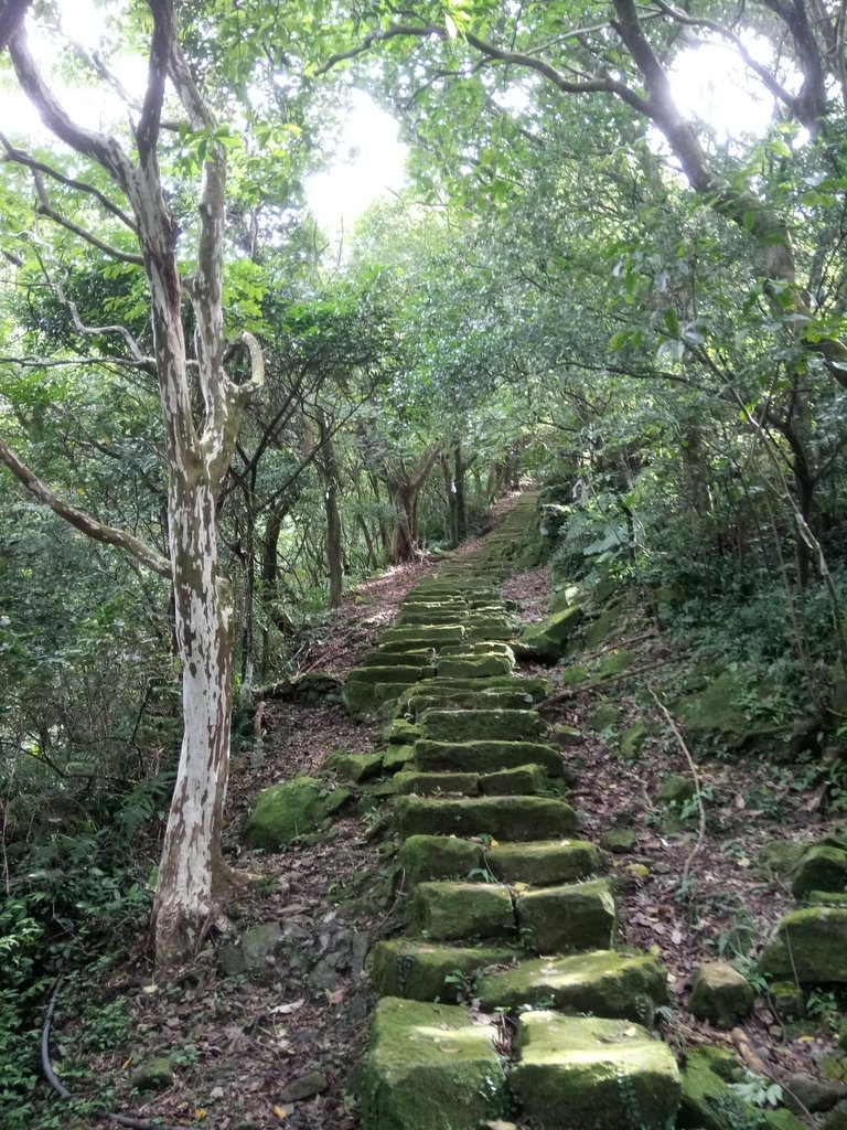 DSC_5380.JPG - 猴硐  小粗坑古道