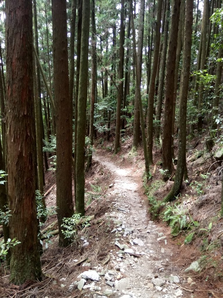 DSC_0001.JPG - 谷關七雄之  馬崙山  (下)