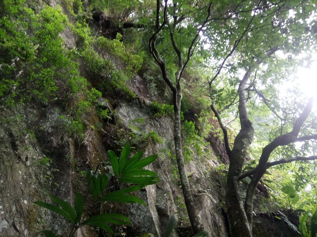 DSC_1010.JPG - 新竹  五指山登山步道