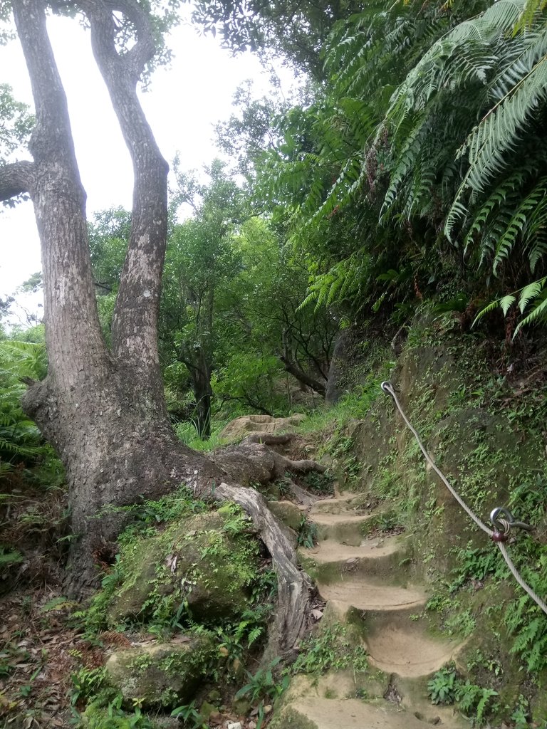 DSC_2775.JPG - 汐止  翠湖  內溝山  老鷲尖