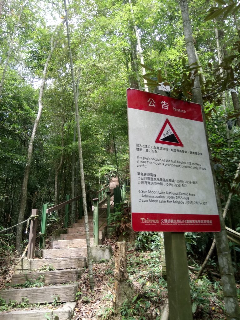 DSC_0232.JPG - 魚池  頭社  後尖山步道