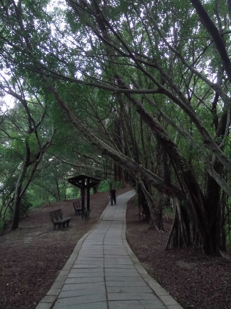 DSC_4007.JPG - 大肚  萬里長城登山步道