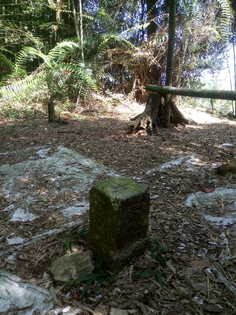 DSC_4044.JPG - 魚池  過坑山登山步道