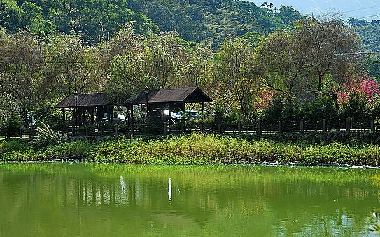 407061.jpg - 鹿谷  麒麟潭  大水窟