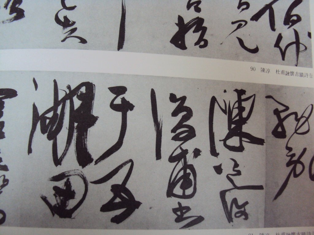 DSC00242.JPG - 陳淳的草書作品