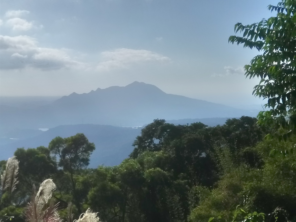 DSC_8853.JPG - 北投  中正山登山步道 01