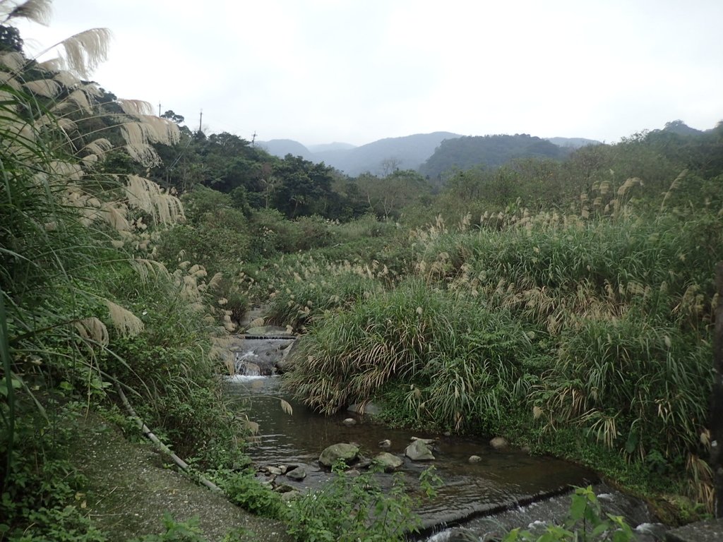 P1263979.JPG - 金山  大路崁古道