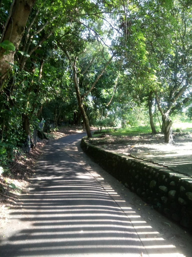 DSC_1242.JPG - 大坑四號步道  頭嵙山