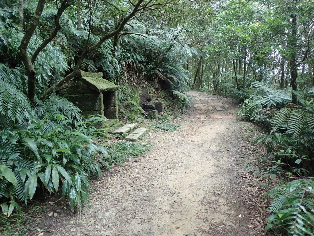 P2288676.JPG - 內湖  大崙頭山