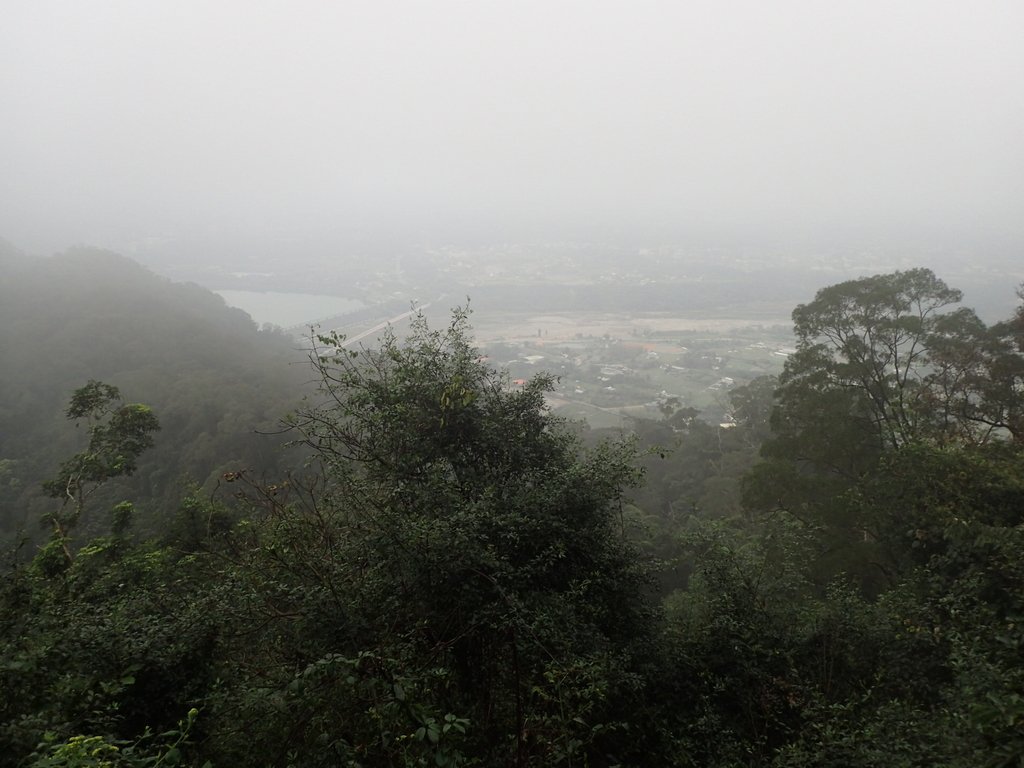 P2107516.JPG - 大溪  溪洲山登山步道