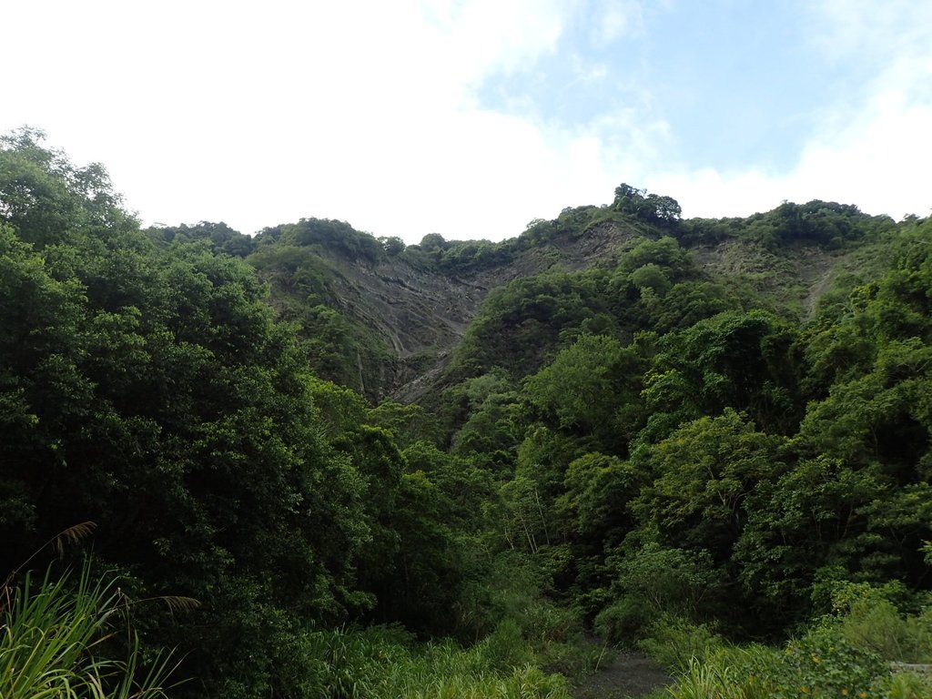 P8287249.JPG - 苗栗  泰安  虎山行