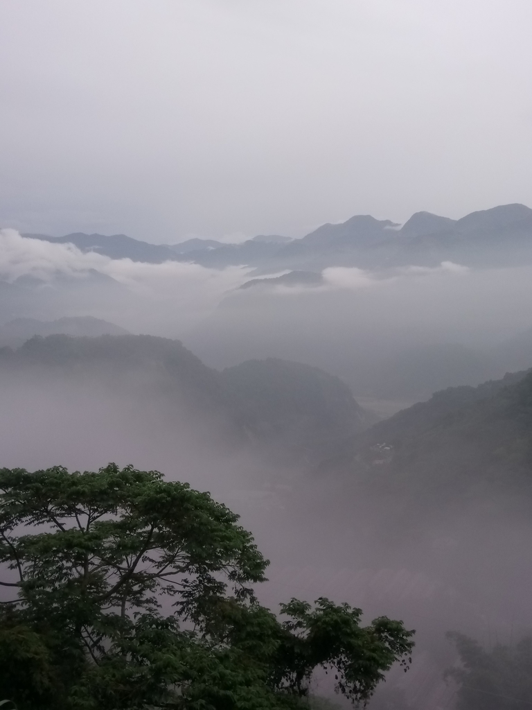 DSC_1388.JPG - 石壁途中之   茶山雲雨