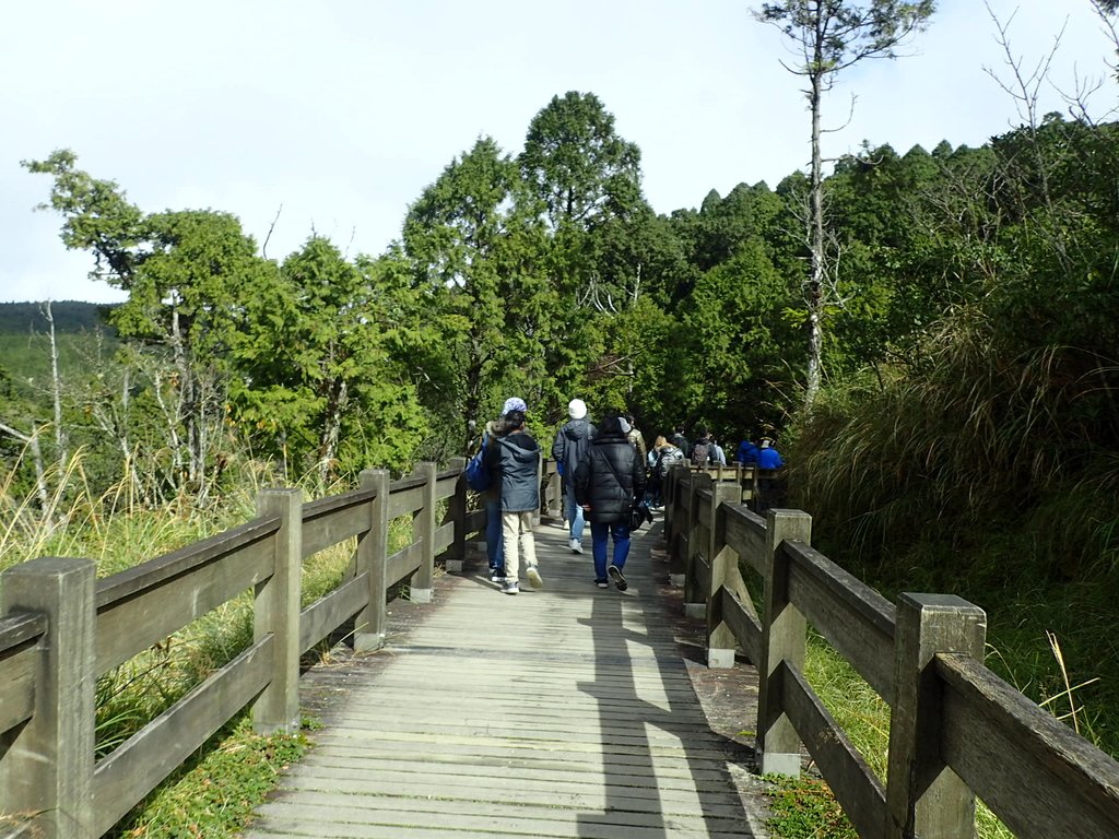 PB265373.JPG - 太平山  翠峰湖環山步道  02