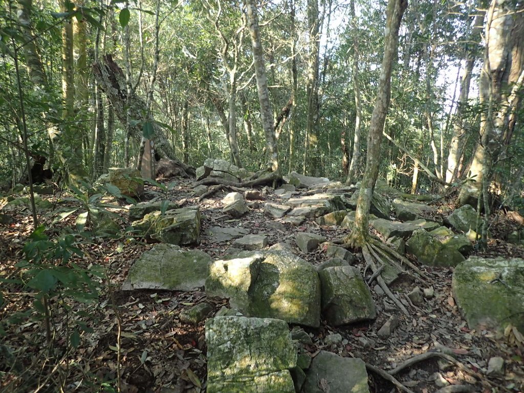 P3217545.JPG - 谷關七雄  白毛山  01