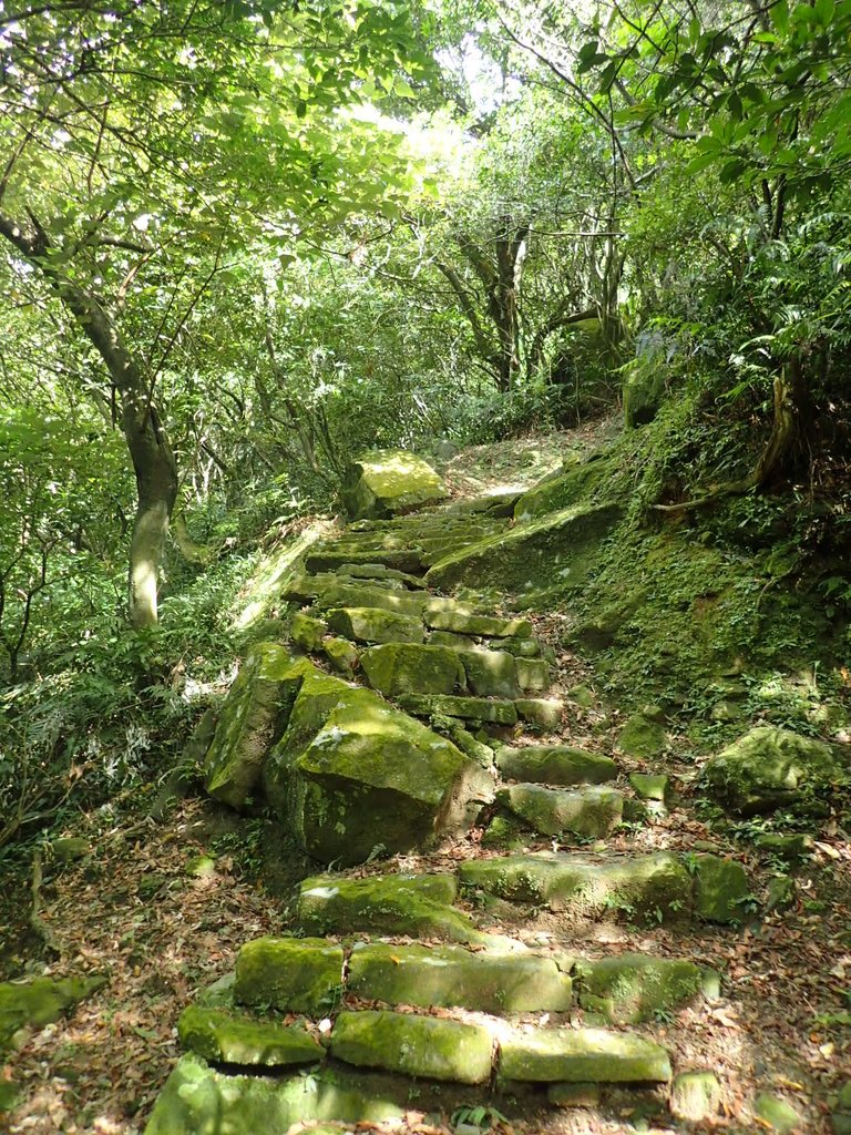 P7062184.JPG - 猴硐  小粗坑古道