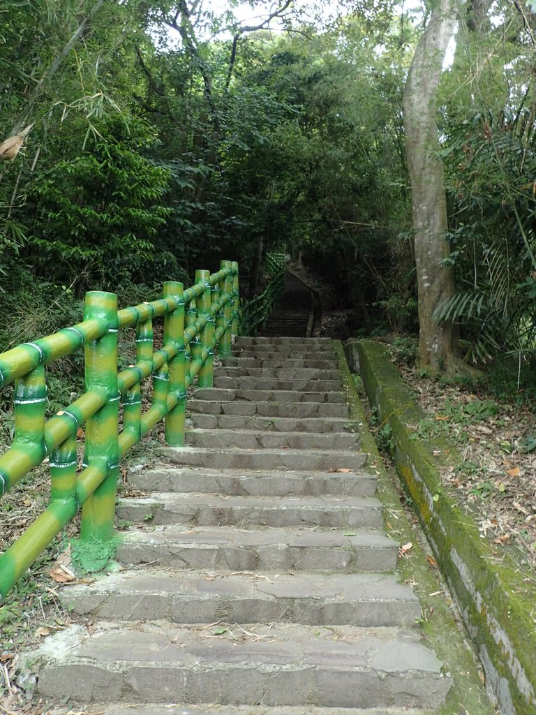 P4272119.JPG - 芎林  飛鳳山  (中坑山)