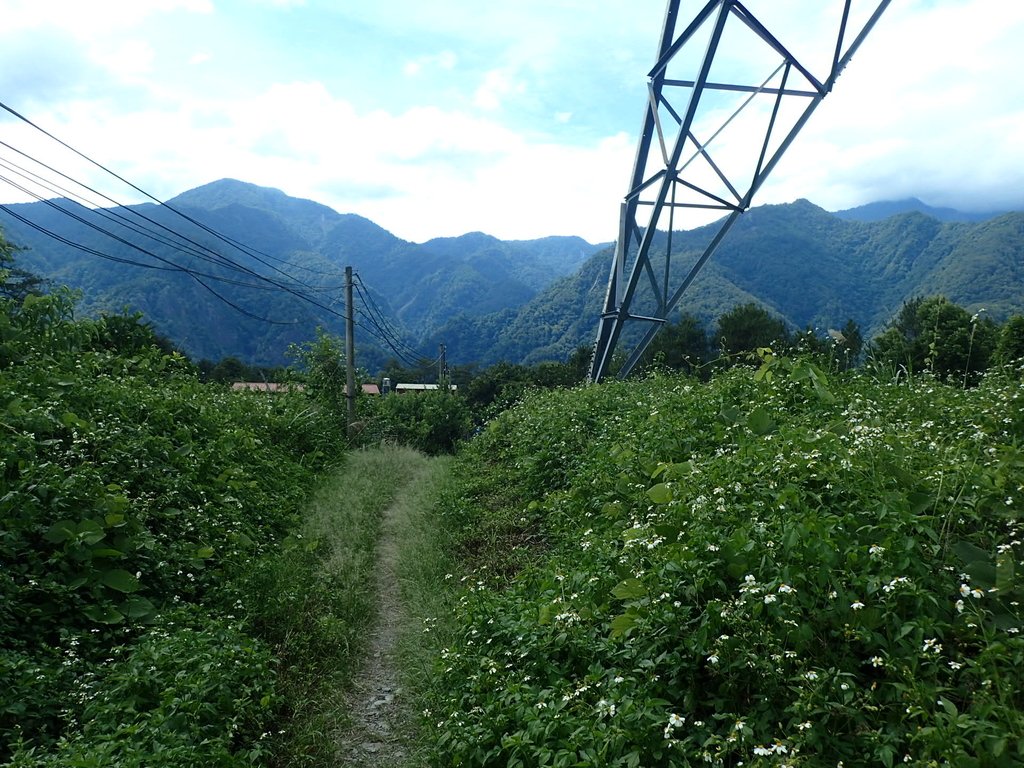 P6054145.JPG - 谷關  斯巴可步道