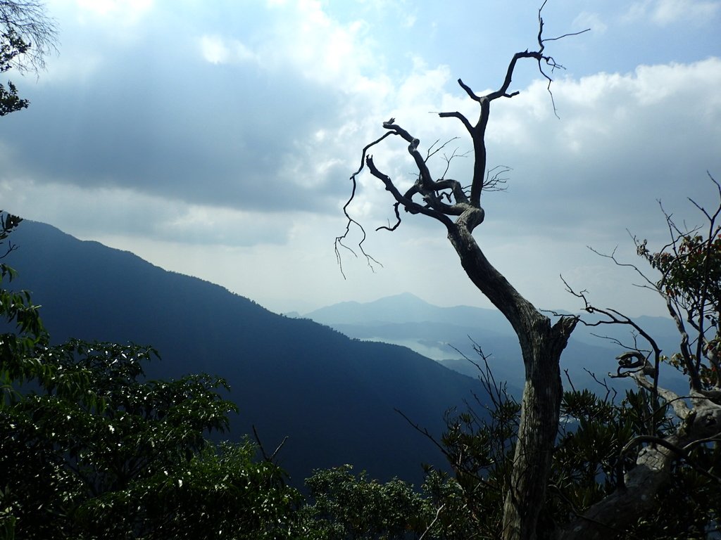 PA040488.JPG - 魚池  大尖山登山步道