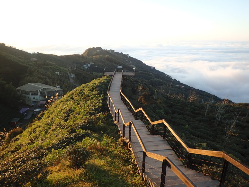 P1076415.JPG - 鹿谷  大崙山  觀霧亭之  暮光