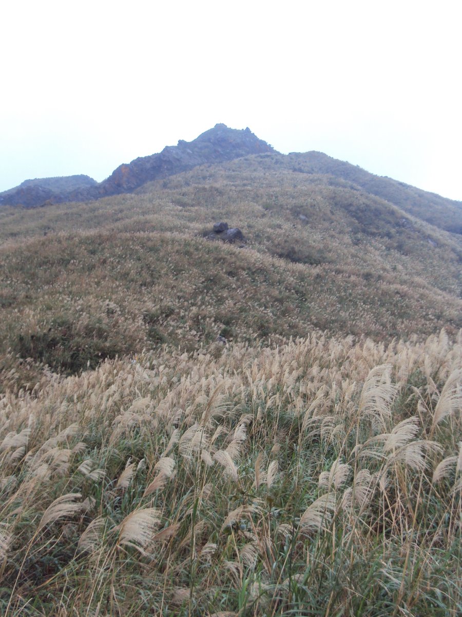 DSC03250.JPG - 無耳茶壺山產業道路