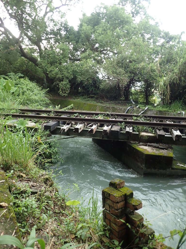 P8287395.JPG - 舊山線鐵道  后里圳磚橋