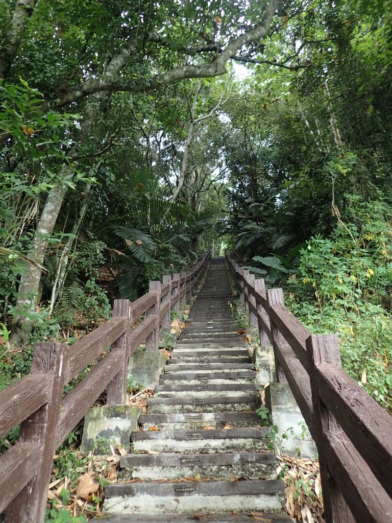PA231644.JPG - 草嶺  茄苳步道  峭壁雄風