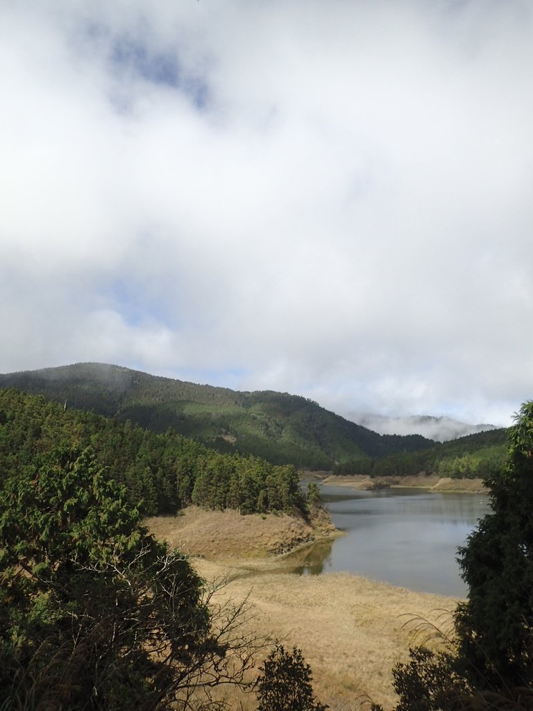 PB265376.JPG - 太平山  翠峰湖環山步道  02