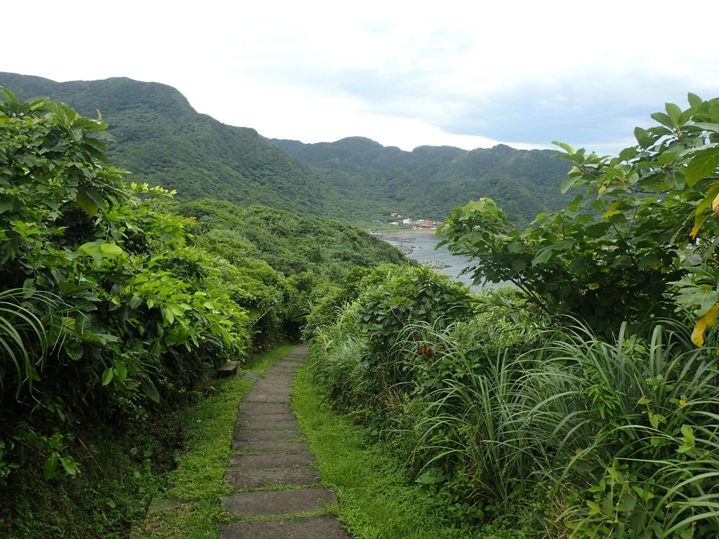 P6220985.JPG - 貢寮  龍洞岬  奇岩之美