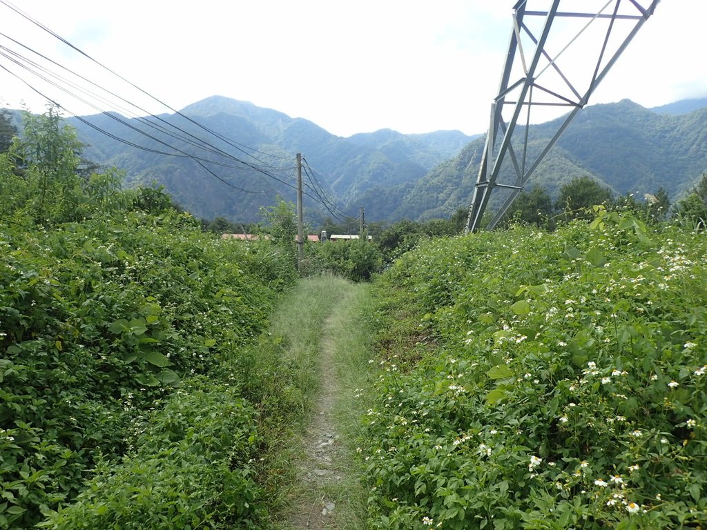 P6054147.JPG - 谷關  斯巴可步道