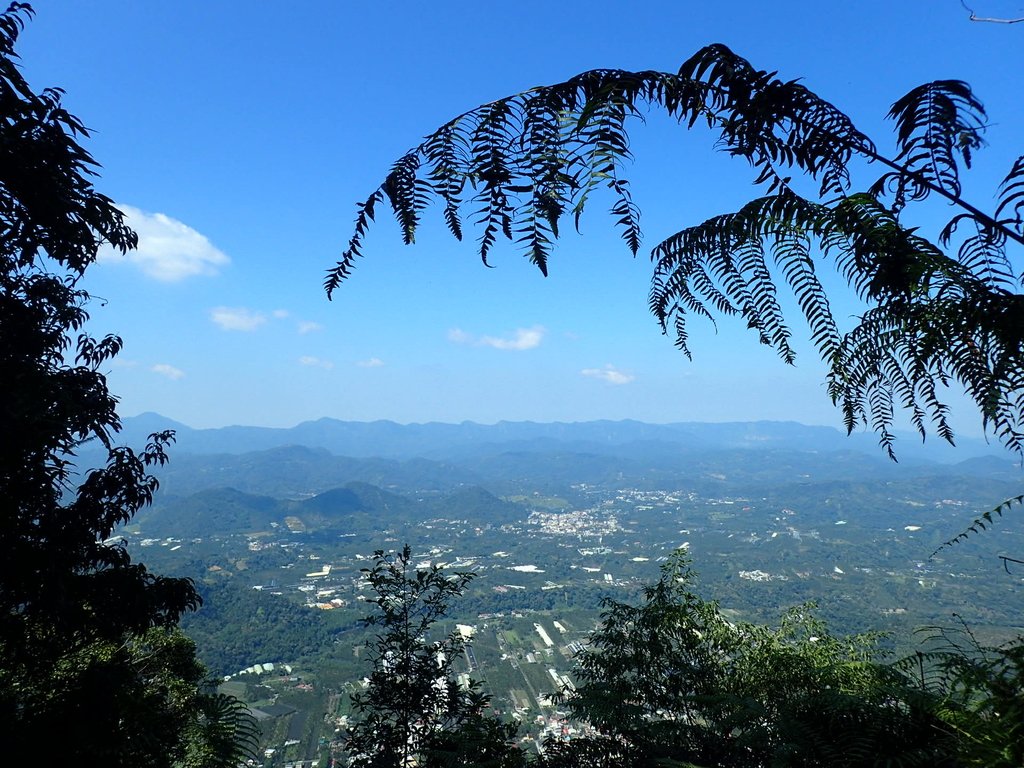 PA040390.JPG - 魚池  過坑山登山步道