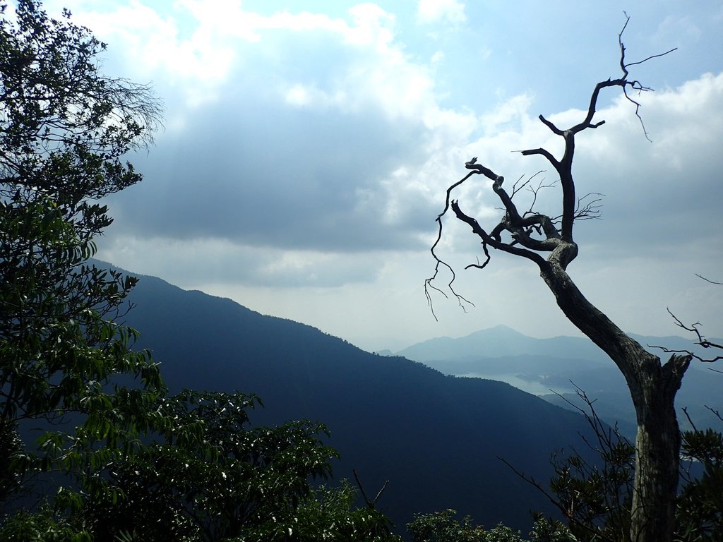 PA040493.JPG - 魚池  大尖山登山步道