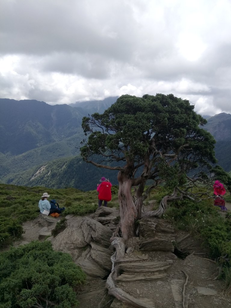 DSC_5447.JPG - 合歡山  北峰之美  (下)