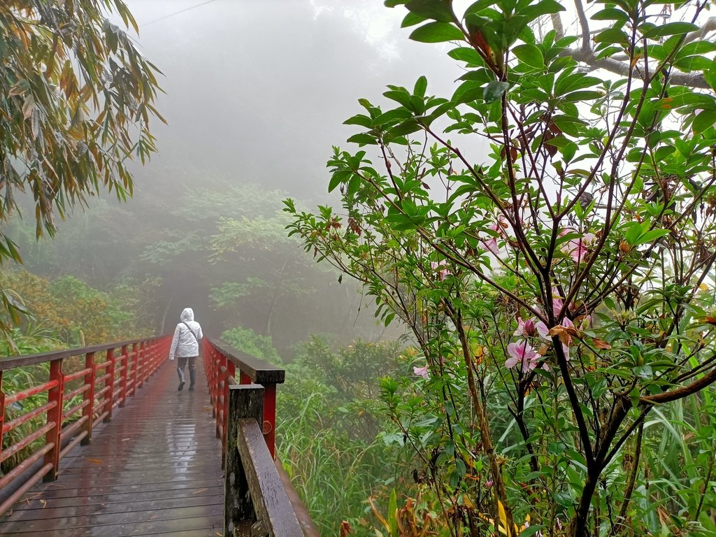 IMG20210108112830.jpg - 梅山  瑞峰村  竹坑溪步道