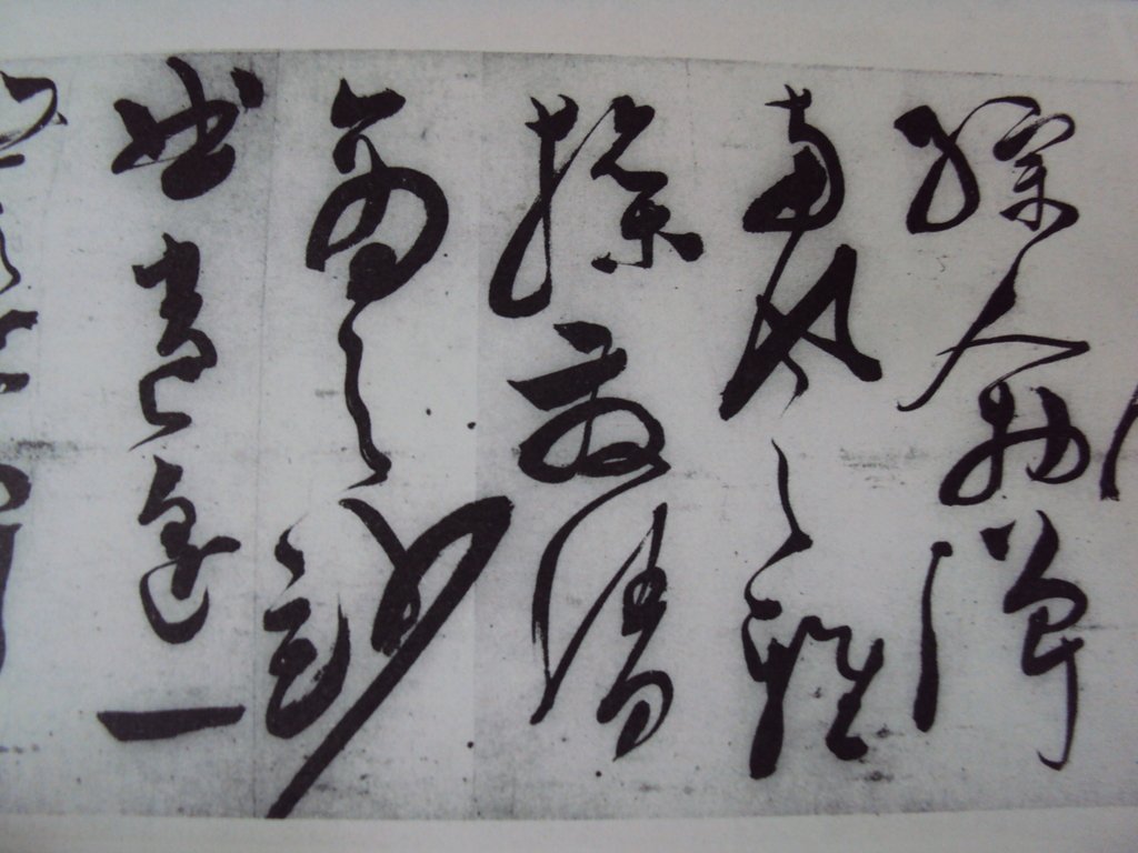 DSC00012.JPG - 陳淳的草書作品