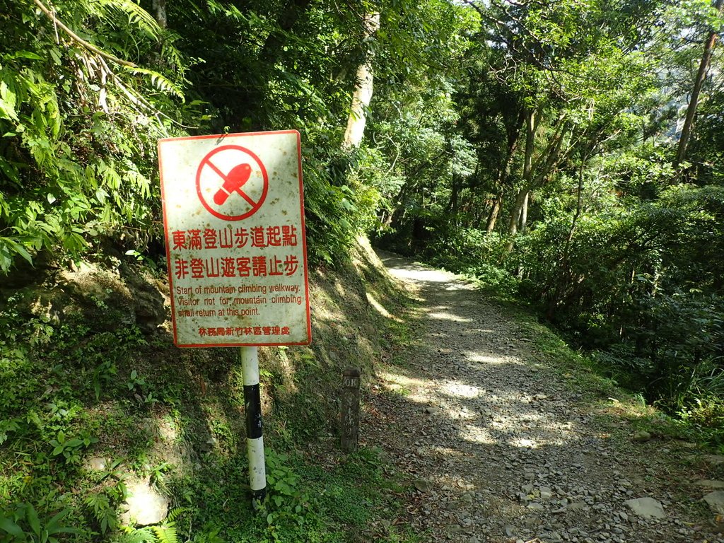 PB257569.JPG - 復興  東滿步道