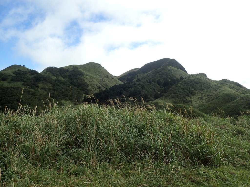 P1102288.JPG - 樹梅礦場  燦光寮山