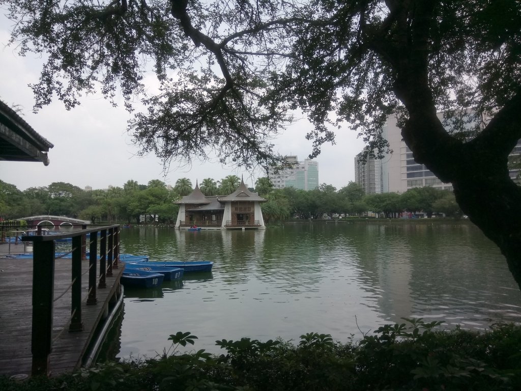 DSC_9936.JPG - 散步  台中公園一隅