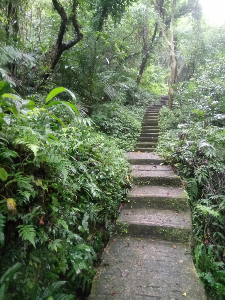 DSC_8442.JPG - 深坑  炮子崙登山步道