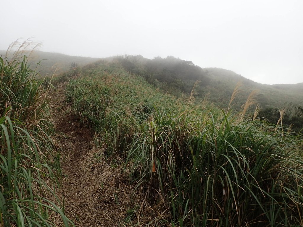 P1203506.JPG - 瑞芳  牡丹山