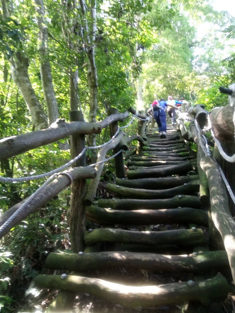 DSC_1251.JPG - 大坑四號步道  頭嵙山