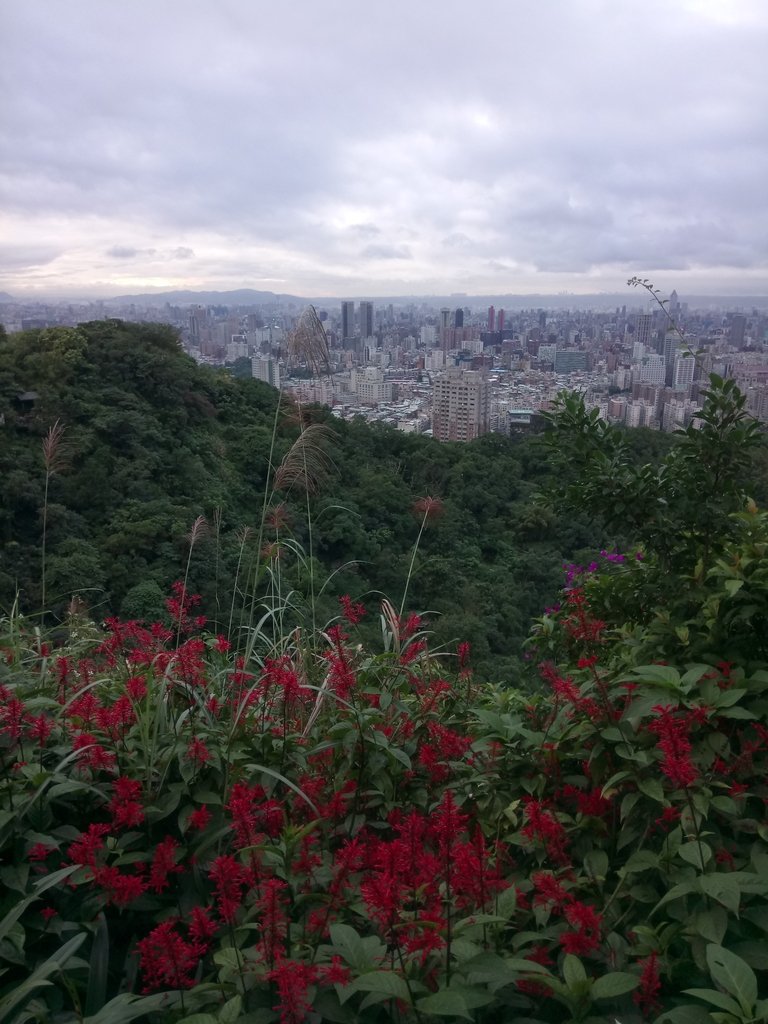 DSC_8528.JPG - 偕友登象山  望夕陽餘暉