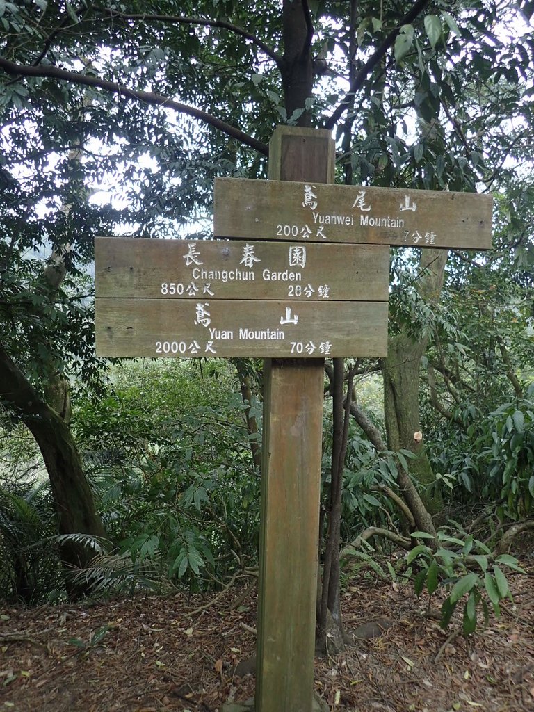 P2167988.JPG - 三峽  鳶尾山登山步道