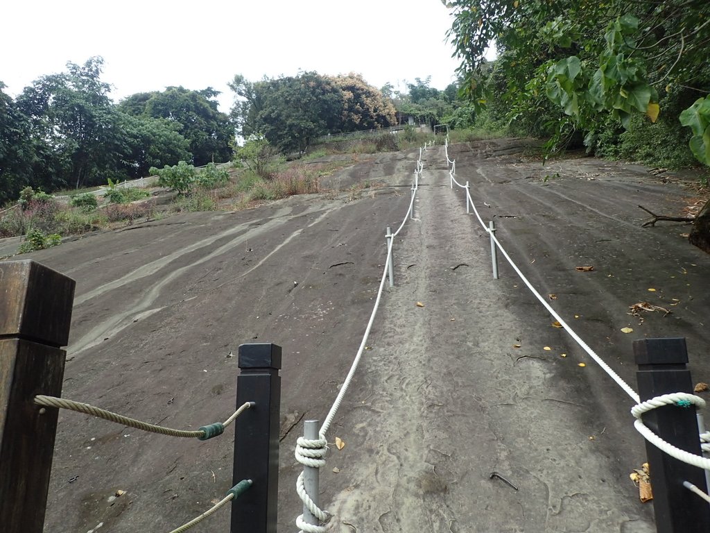 PA231656.JPG - 草嶺  茄苳步道  峭壁雄風