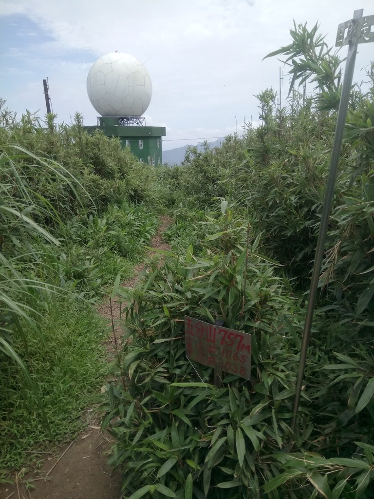 DSC_6576.JPG - 瑞芳  五分山登山步道