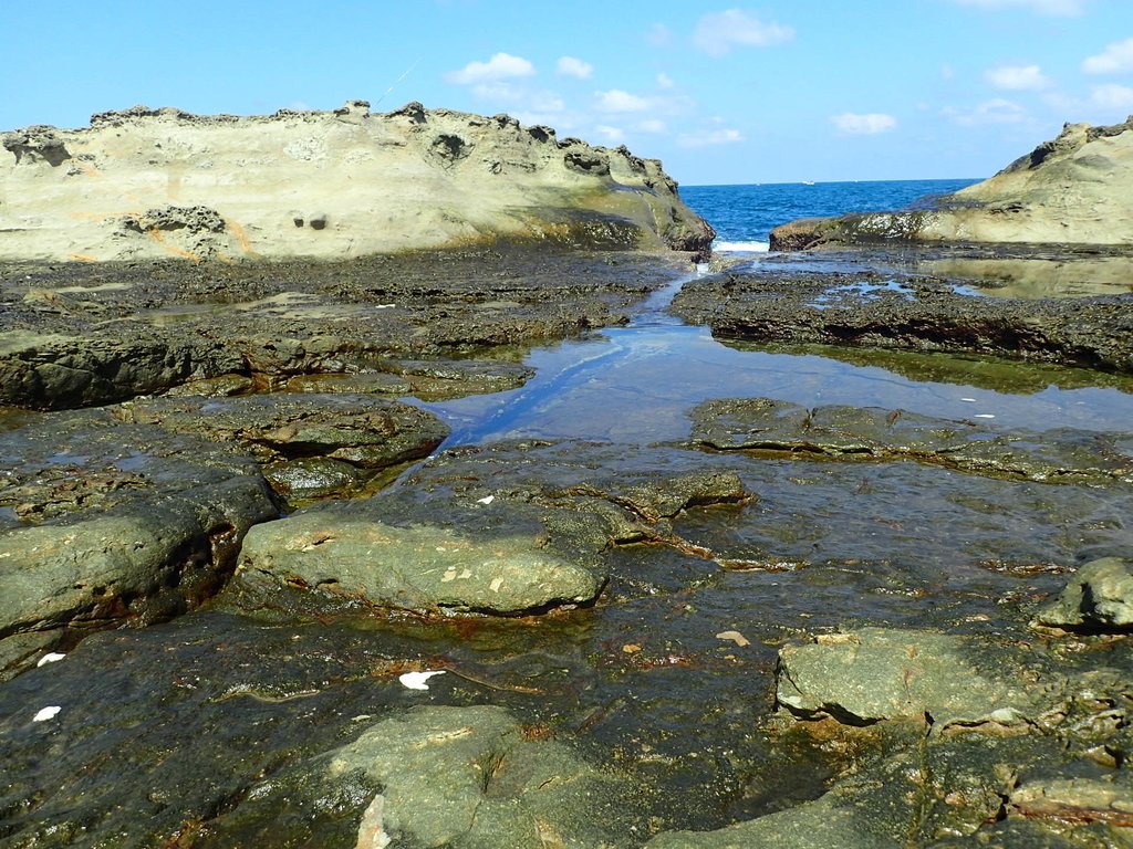 PA115044.JPG - 東北角海岸岩石之美  (03)