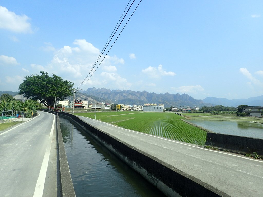 P3016031.JPG - 草屯平林  九九峰森林步道