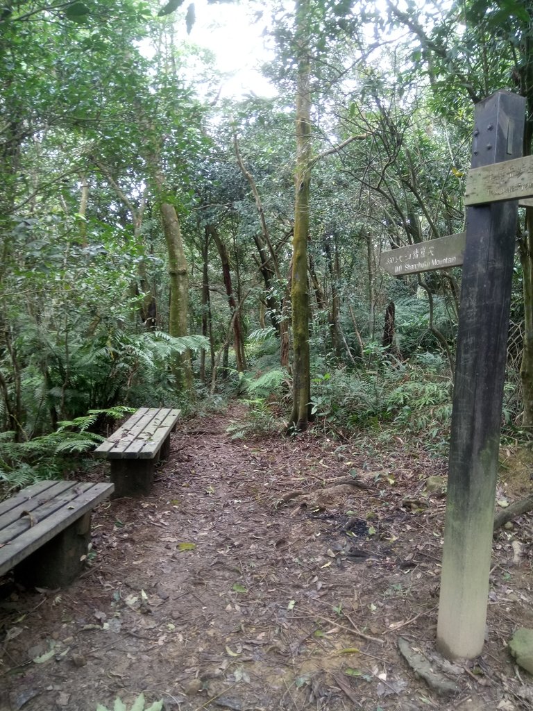 DSC_6029.JPG - 深坑  土庫岳登山步道  (01)