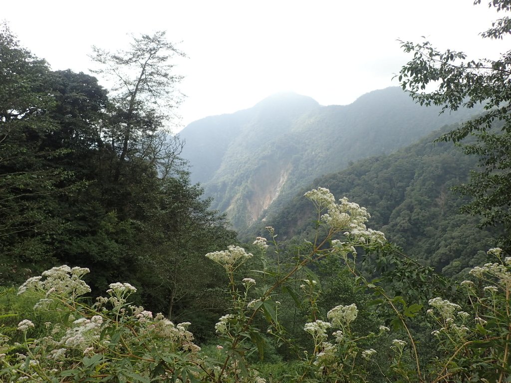 PA185709.JPG - 台中  和平  稍來山南峰