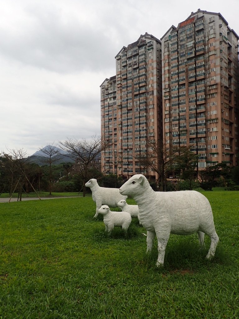 P3300966.JPG - 基隆  早安國揚社區公園